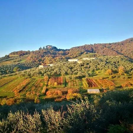 La Casa Di Francesca Tra Le Colline Di In Toscana Appartement *